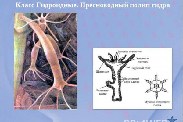 Кракен зеркало сайта