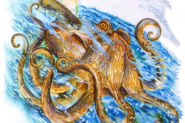 Актуальные ссылки на кракен тор