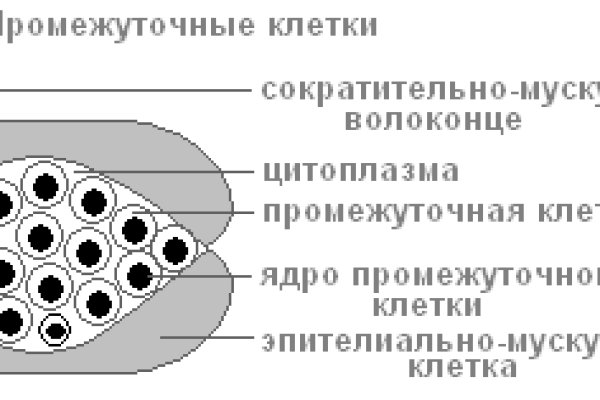 Кракен маркет darknet