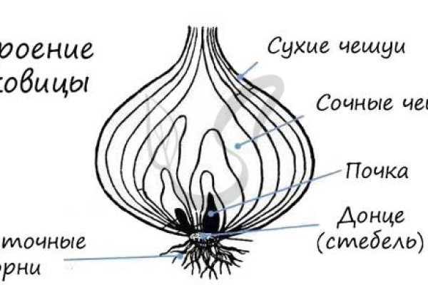 Кракен маркет зайти