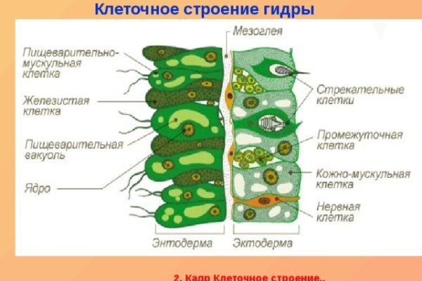Кракен перестал работать